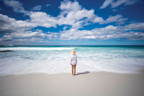 Bay Of Fires - Attractions Sydney 1