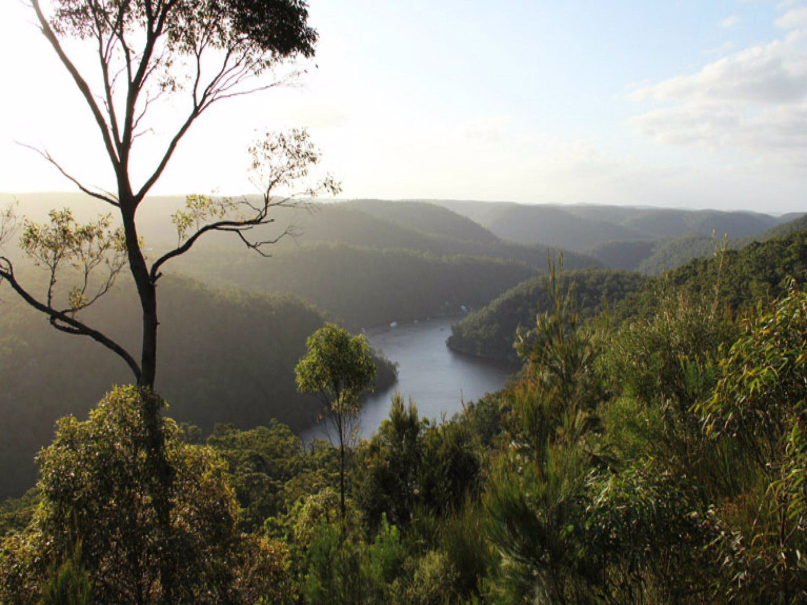 Thornleigh NSW Attractions Sydney