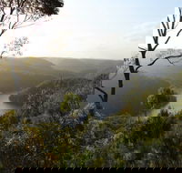 Berowra Valley National Park - Attractions Sydney