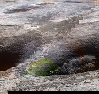 Blowhole and the Rocks - Attractions Sydney
