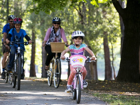 Bright To Wandiligong 5.5km - Attractions Sydney 0