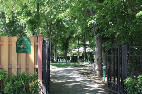 Bungendore Heritage Walk - Attractions Sydney 0