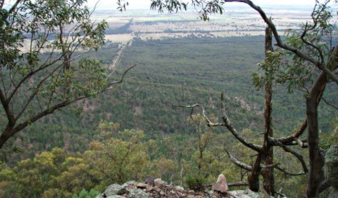 Burrabadine Walking Track - Attractions Sydney 0