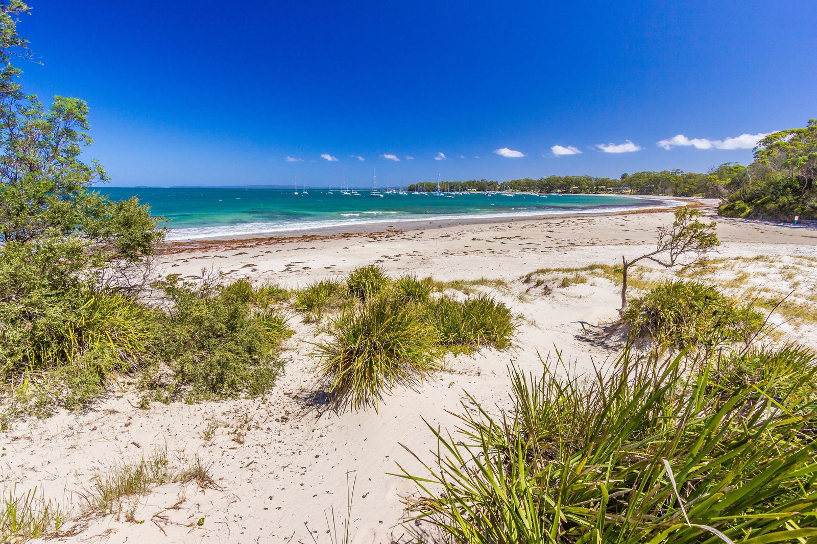 Callala Bay NSW Attractions Sydney