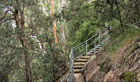 Caleys Lookout Track - Attractions Sydney 0
