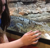 Canberra Reptile Zoo - Attractions Sydney