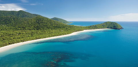 Cape Tribulation, Daintree National Park - Attractions Sydney 0