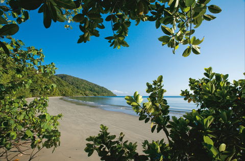 Cape Tribulation, Daintree National Park - Attractions Sydney 1