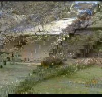 Castlemaine Diggings National Heritage Park - Attractions Sydney