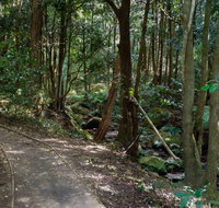Cascades Walk - Attractions Sydney