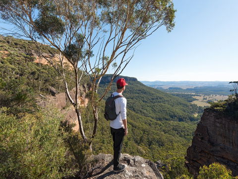 Centennial Glen - Attractions Sydney 0