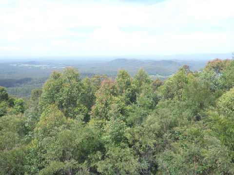 Collombatti Lookout - Attractions Sydney 0