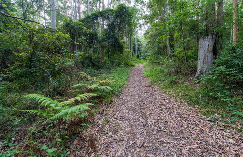 Double Wharf Trail - Attractions Sydney 0