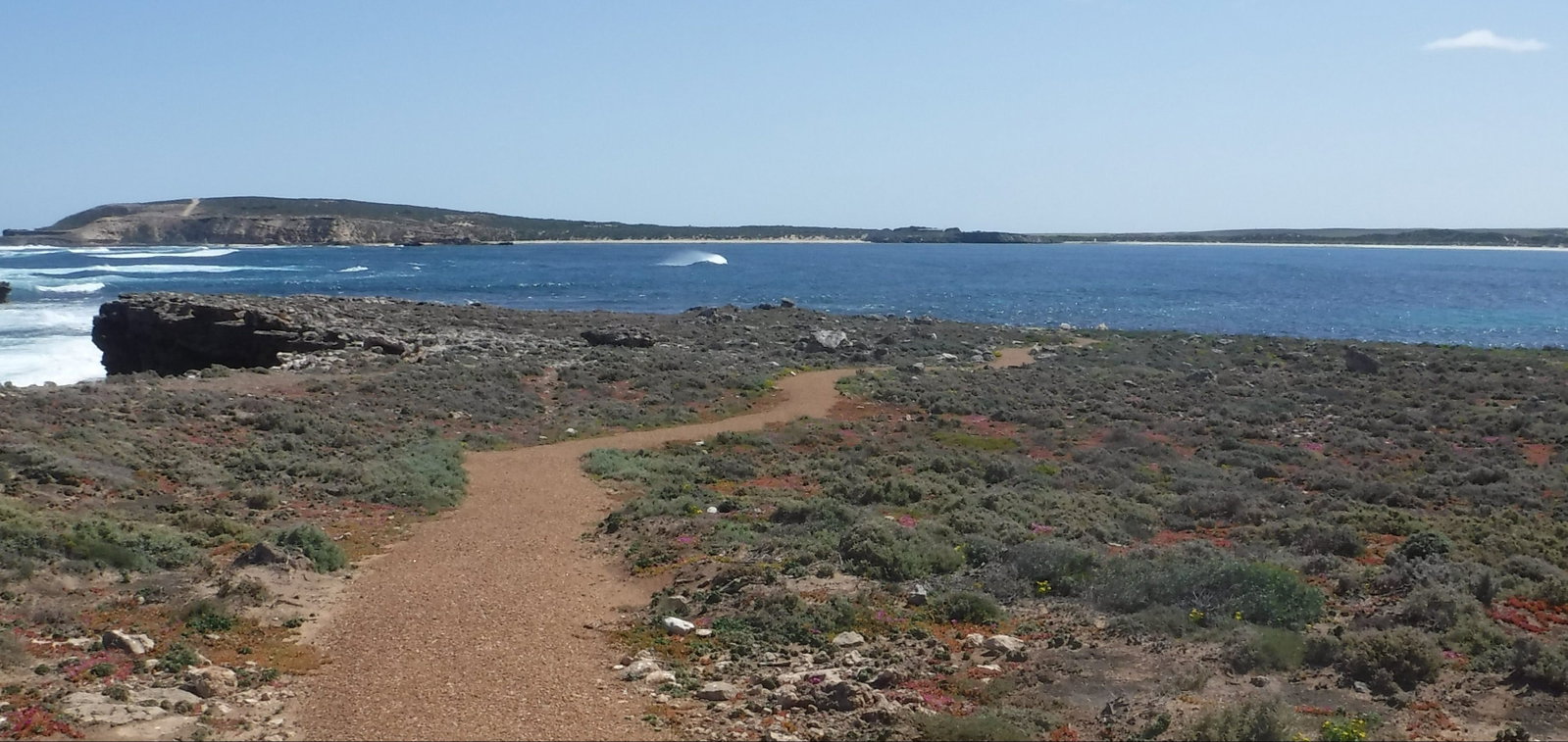 Elliston SA Attractions Sydney