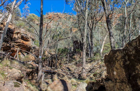 Eualdrie Walking Track - Attractions Sydney 0