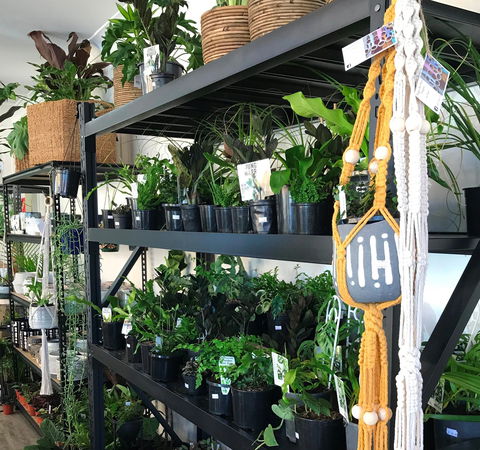 Fancy Plants - Attractions Sydney 0