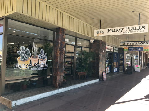 Fancy Plants - Attractions Sydney 1