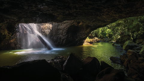 Gondwana Rainforests Of Australia World Heritage Area - Attractions Sydney 0