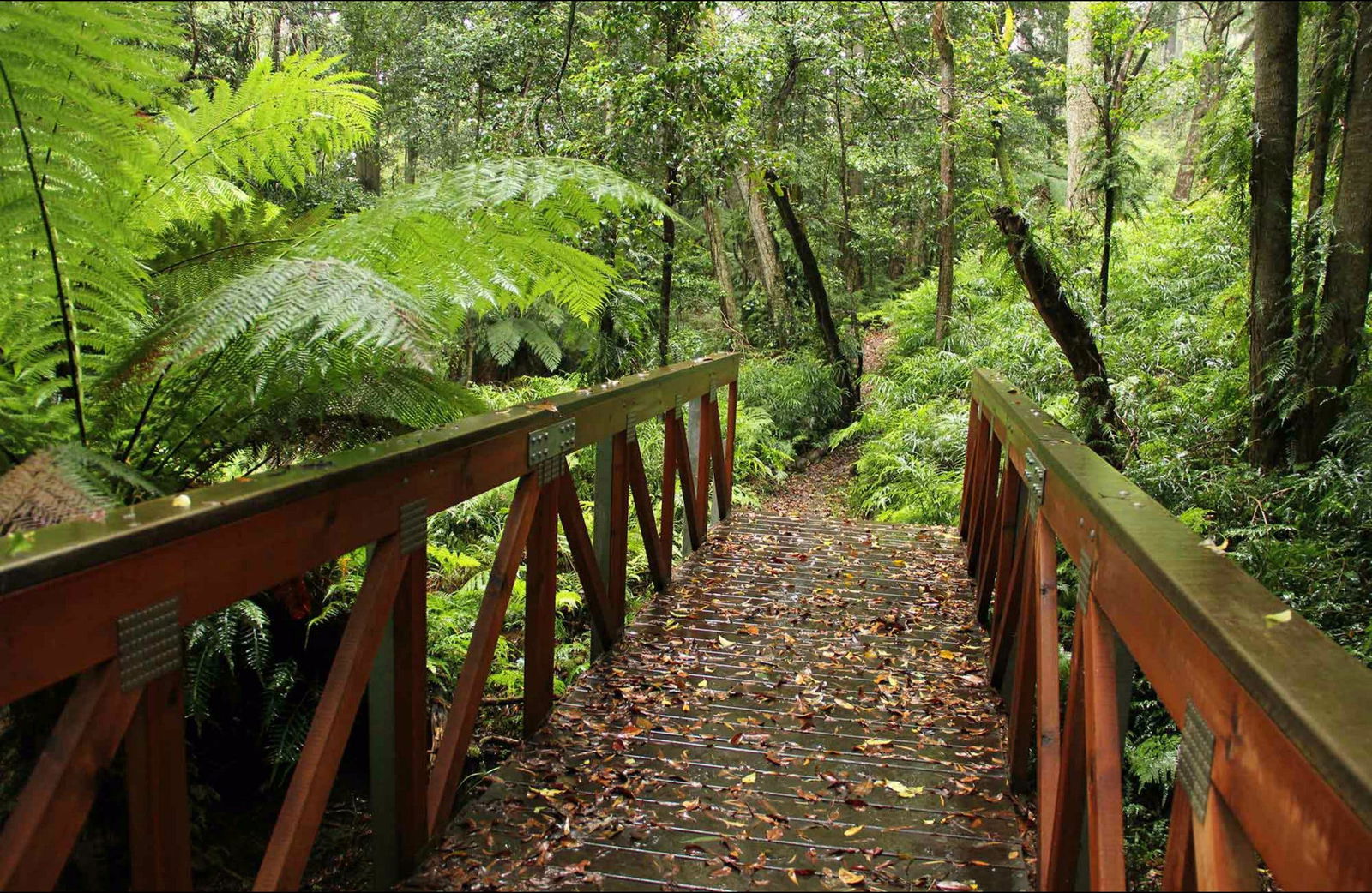 South Wolumla NSW Attractions Sydney