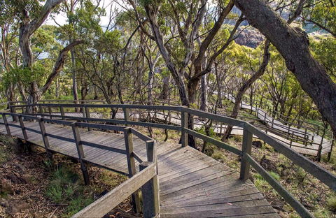 Governor Summit (Corrunbral Borawah) Walking Track - Attractions Sydney 0