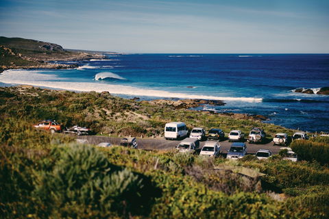 Gracetown - Attractions Sydney 0