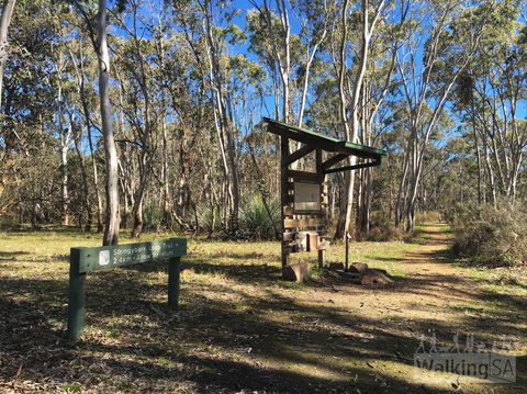 Kaiserstuhl Conservation Park - Attractions Sydney 0