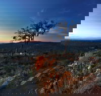 Kalamunda National Park - Attractions Sydney