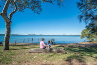 Lamb Island Nguderoo