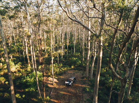 Leeuwin-Naturaliste National Park - Cowaramup - Attractions Sydney 0