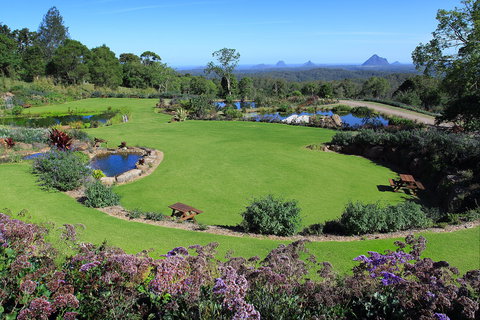 Maleny Botanic Gardens And Bird World - Attractions Sydney 2