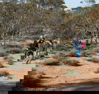 Mallee Stop walking track - Attractions Sydney