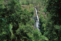 Mapleton Falls National Park