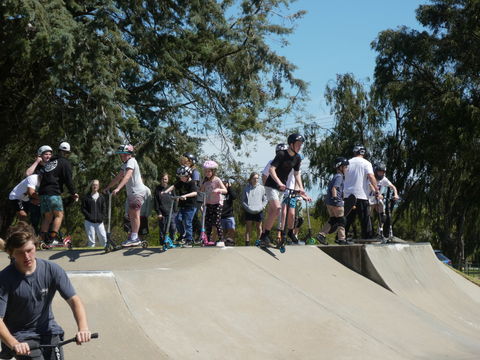 Millicent Skatepark - Attractions Sydney 2