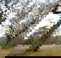 Moolarben Picnic Area - Attractions Sydney
