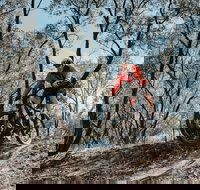 Mountain Bike Trails Deniliquin - Attractions Sydney