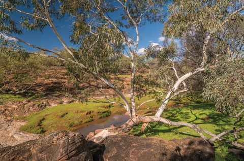 Mount Grenfell Historic Site - Attractions Sydney 0