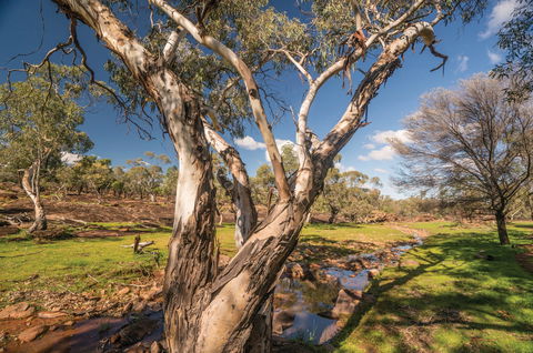 Mount Grenfell Historic Site - Attractions Sydney 2