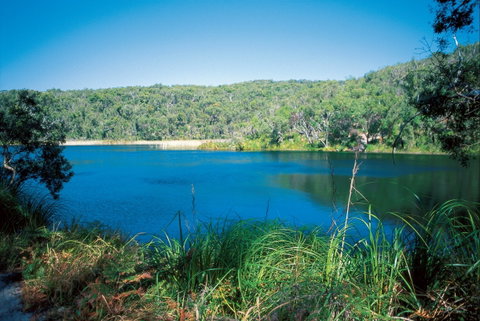 Naree Budjong Djara National Park - Attractions Sydney 1