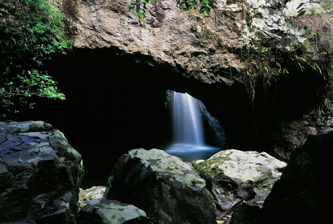 Natural Bridge Circuit, Springbrook National Park - Attractions Sydney 0