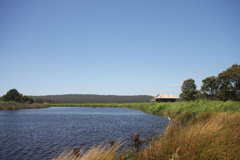 Panboola Wetlands - Attractions Sydney 0