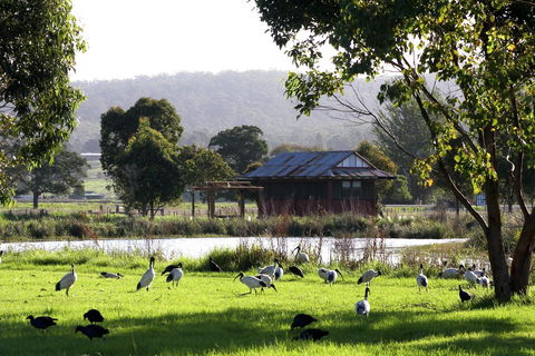 Panboola Wetlands - Attractions Sydney 1