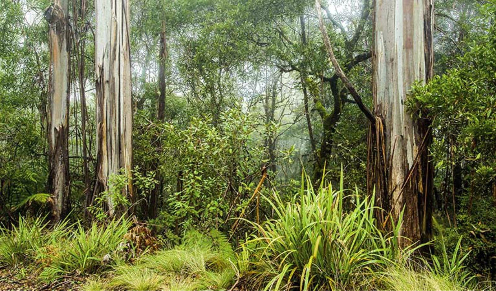 Findon Creek ACT Attractions Sydney