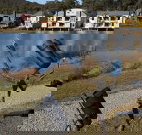 Sculpture Trail at Lake Crackenback Resort and Spa - Attractions Sydney