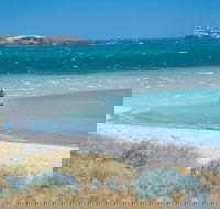 Singleton - Attractions Sydney