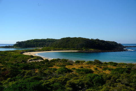 Snorkelling Broulee Island - Attractions Sydney 0