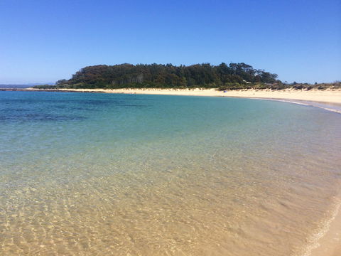 Snorkelling Broulee Island - Attractions Sydney 2