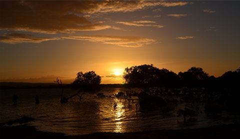 Southend Curtis Island - Attractions Sydney 0