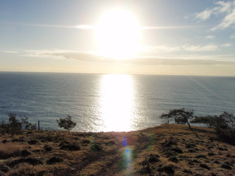 Southend Curtis Island - Attractions Sydney 1