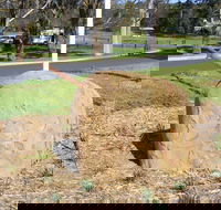 Stratford Historical Society and Museum - Attractions Sydney