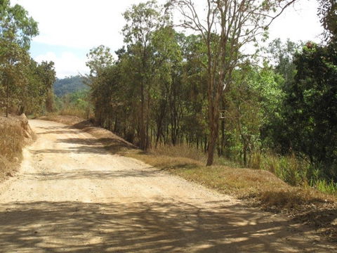 The Bloomfield Track - Attractions Sydney 0